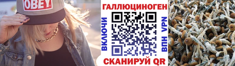 Галлюциногенные грибы MAGIC MUSHROOMS Алупка